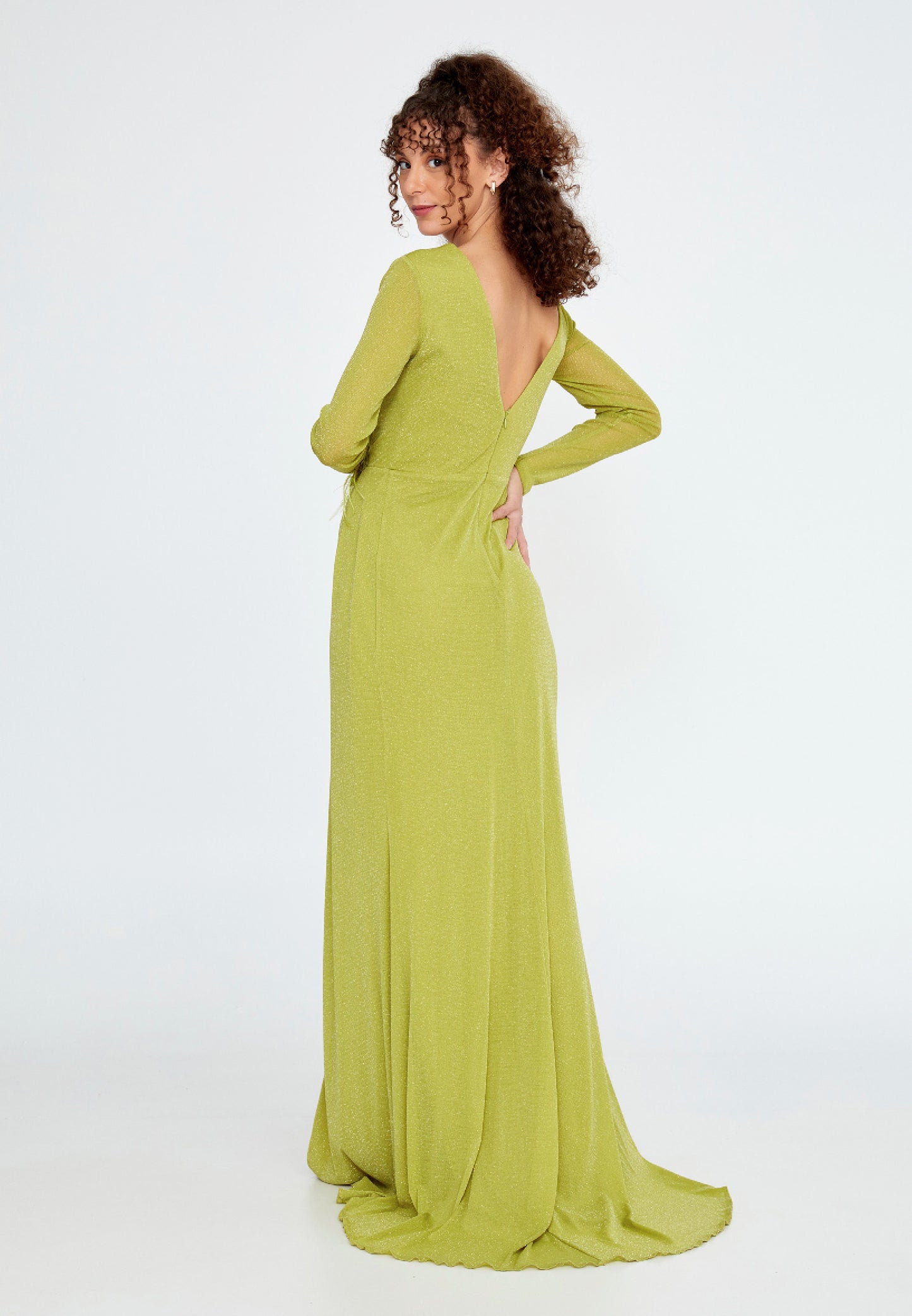 Long Sleeve Maxi Chiffon Column  Green Evening Dress